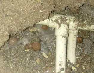 道真仡卫生间测漏
